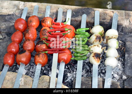 Iraniano Barbecue di pollo con cipolla e freddo nel parco Foto Stock