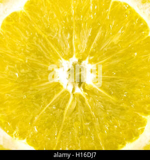 Dettagli della pelle e la consistenza di una fetta di limone. Extreme close-up. Idee per lo sfondo. Foto Stock