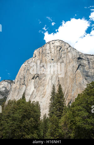 El Capitan, 980m alto monolito, del Parco Nazionale Yosemite, Sito Patrimonio Mondiale dell'UNESCO, CALIFORNIA, STATI UNITI D'AMERICA Foto Stock
