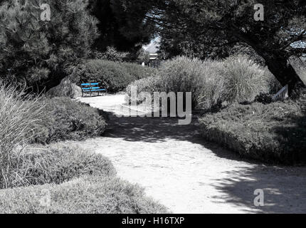 Unico verniciato blu banco in un giardino estivo con un percorso e circondato da alberi e cespugli. Foto Stock