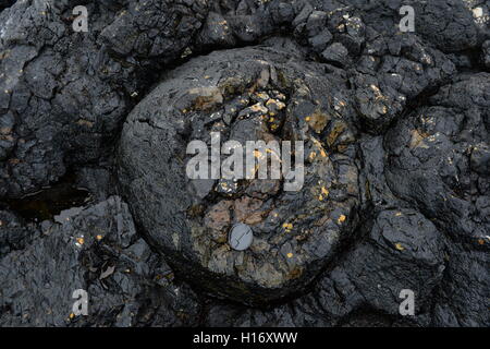 Cuscino a lava Strumble Head formata sotto l'acqua di milioni di anni fa quando questa parte del Galles è stata Volcanic Foto Stock