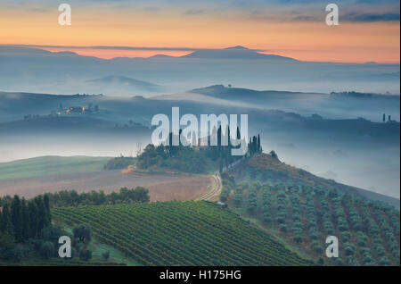Toscana. Immagine del paesaggio toscano durante la nebbia autunno sunrise. Foto Stock