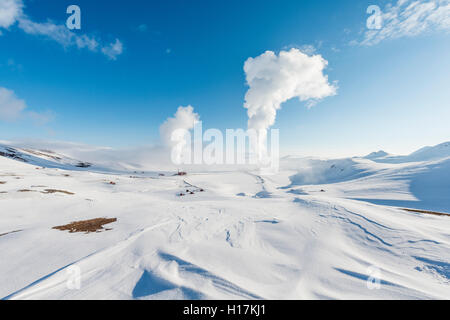 Vapore ascendente, Hverarönd, anche Hverir o Namaskard, area geotermica, Nord Islanda Islanda Foto Stock