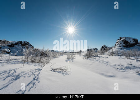 Sole che splende sulla neve boccole, campo di lava coperto di neve, Krafla sistema vulcanico, Dimmuborgir Parco Nazionale, Mývatn, Islanda Foto Stock
