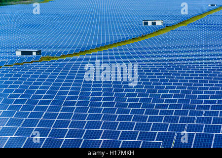 Molti Photovoltaik pannelli solari sono parte di un grande impianto propulsivo solare, Buckendorf, Baviera, Germania Foto Stock