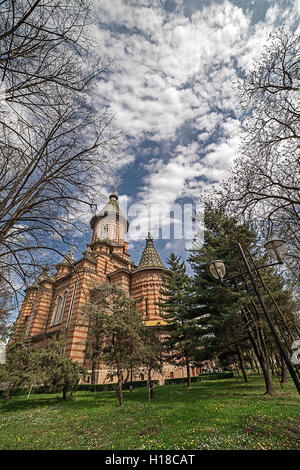 Fish Eye presso la cattedrale ortodossa in Timisoara, Romania, dal parco che lo circonda. Foto Stock