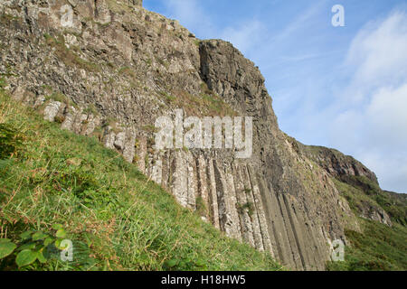 Struttura di organo su Giants Causeway sentiero costiero; nella contea di Antrim, Irlanda del Nord, Regno Unito Foto Stock