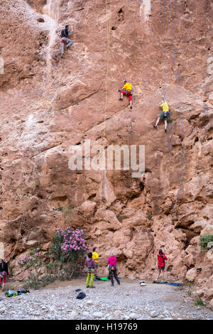 Todra Gorge, Marocco. Arrampicatori la levigatura la loro specialità. Foto Stock