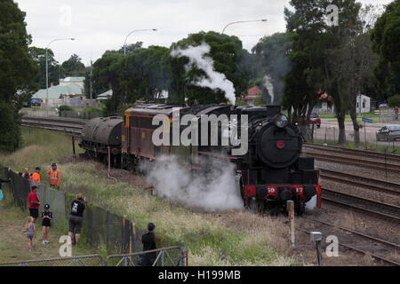 Stazione ferroviaria di locomotive a vapore sul display a Maitland NSW Australia Foto Stock