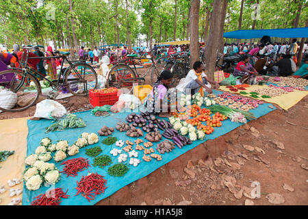 Fruttivendolo, Dhurwa mercato tribale, Pandripani Village, Chattisgarh, India Foto Stock