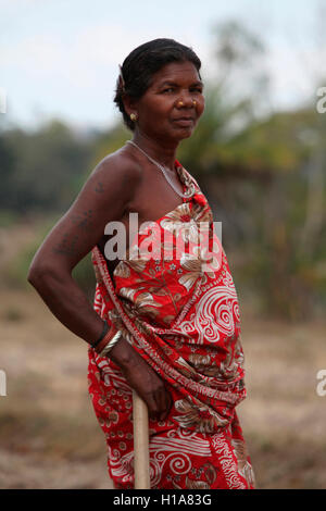 Donna tribale, tribù di Muria, villaggio di Chorangi, Chattisgarh, India. Facce rurali dell'India Foto Stock