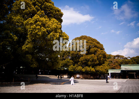 Un sacerdote spazza i motivi del Tempio di Meiji in Tokyo, Giappone Foto Stock