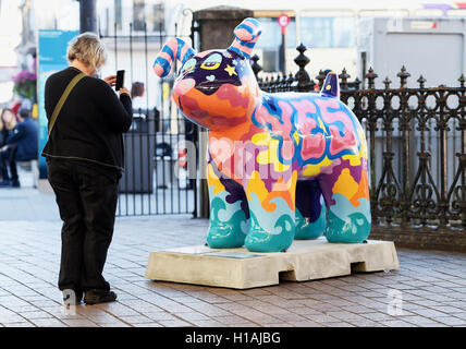 Brighton Regno Unito 23 Settembre 2016 - Una delle sculture sul display intorno a Brighton come parte dell'Snowdogs dal Sea Art Trail . Oltre 40 sponsorizzato Snowdogs sarà messo in mostra in giro per la città per i prossimi 2 mesi prima di essere messo all'asta per raccogliere fondi per l'Ospizio Martlets Credito: Simon Dack/Alamy Live News Foto Stock