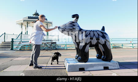 Brighton Regno Unito 23 Settembre 2016 - Questo Snowdog chiamato fiore è dal palco per spettacoli sul lungomare di Brighton ed è una delle sculture sul display intorno a Brighton come parte dell'Snowdogs dal Sea Art Trail . Oltre 40 sponsorizzato Snowdogs sarà messo in mostra in giro per la città per i prossimi 2 mesi prima di essere messo all'asta per raccogliere fondi per l'Ospizio Martlets Credito: Simon Dack/Alamy Live News Foto Stock