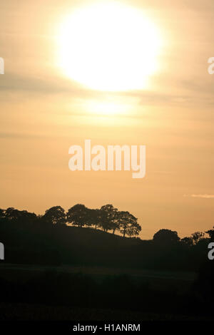 Chessington, Surrey, Regno Unito. 23 Sep, 2016. Il sole tramonta su alberi sulla collina a Chessington, Surrey alla fine di una giornata calda e soleggiata. Credito: Julia Gavin UK/Alamy Live News Foto Stock