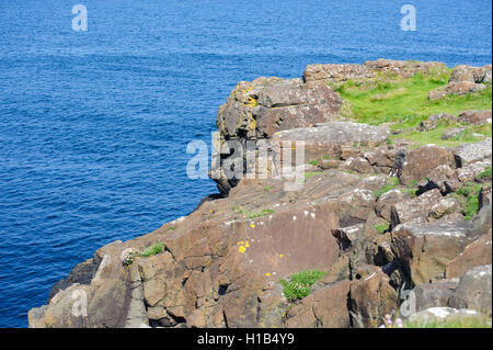 Il lungomare , contea di Londonderry , Irlanda del Nord Foto Stock