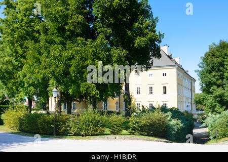 Lanzenkirchen: castello Schloss Frohsdorf, Wiener Alpen, Alpi Niederösterreich, Austria Inferiore, Austria Foto Stock