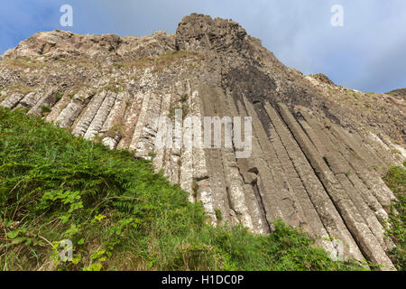 L'organo al Giant's Causeway, Bushmills, County Antrim, Irlanda del Nord, Regno Unito Foto Stock