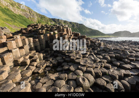 Ganny porta a Giant's Causeway, Bushmills, County Antrim, Irlanda del Nord, Regno Unito Foto Stock