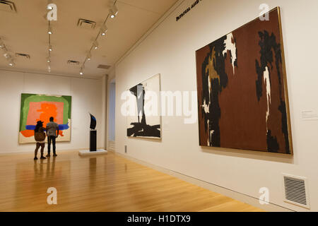 Espressionisti astratti dipinti esposti presso lo Smithsonian American Art Museum di Washington, DC. Foto Stock