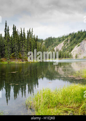 Abeti sono riflesse nel lago a ferro di cavallo, Parco Nazionale di Denali, Alaska, su un nuvoloso giorno. Foto Stock