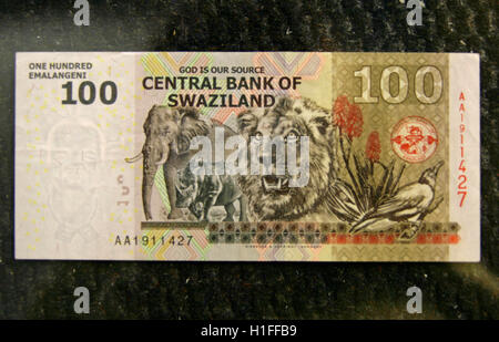 Nuova banca Swazi nota, un centinaio di Emalangeni, Regno di Swaziland Foto Stock