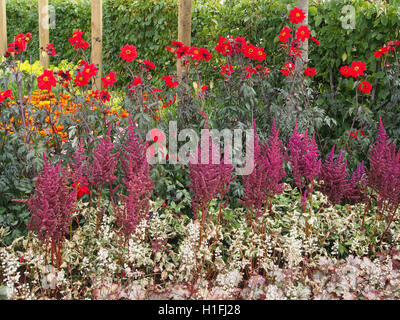 Perenni mista confine a Tatton Park Flower Show 2016, nel Cheshire, Inghilterra, compresi astilbe viola e rosso dalie. Foto Stock