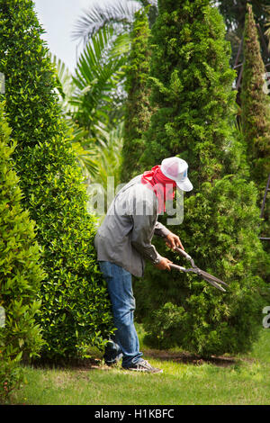 Giardiniere, lavoratori ritaglio di siepi e alberi, forma. Topiaria da albero a Suan Nong Nooch o NongNooch Tropical Botanical Garden Resort, Pattaya, Thailandia Foto Stock
