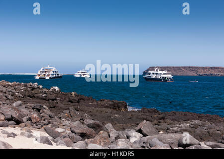 Diving Liveaboards, North Seymour, Galapagos, Ecuador Foto Stock