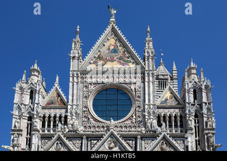 Cattedrale di Siena, Cattedrale di Santa Maria Assunta, torre campanaria, close-up, Siena e Provincia di Siena, Toscana, Italia Foto Stock