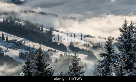 Paesaggio invernale nella Brixental, conifere, neve e nebbia, Brixen im Thale, Tirolo, Austria Foto Stock