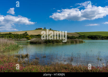 Verde tipico paesaggio toscano in Val d'Orcia, fattoria sulla collina, il lago e il blu cielo nuvoloso, La Foce, Toscana, Italia Foto Stock