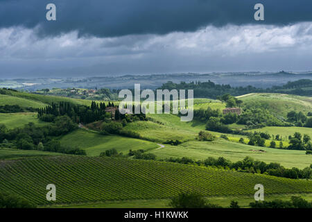 Verde tipico paesaggio toscano in Val d'Orcia, con colline, agriturismo, campi, olivi, vigneti, oliveti e cielo molto nuvoloso Foto Stock