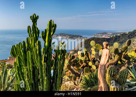 Jardin Exotique, cactus, Eze Village, Eze, Provence-Alpes-Côte d'Azur, in Francia Foto Stock