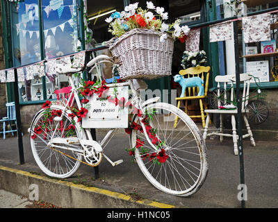 Le caratteristiche della bicicletta in un elegante display a pentole e zampe. Un interessante negozio a Rothbury, Northumberland. Foto Stock