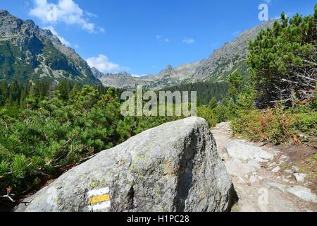 Sentiero escursionistico in alta montagna Tatra con il contrassegno giallo sul rock. Foto Stock