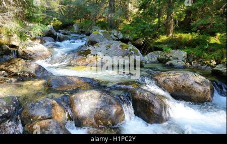 Acqua che scorre sulle rocce nel flusso. Ruscello di montagna che scorre giù dalla collina a valle. Foto Stock