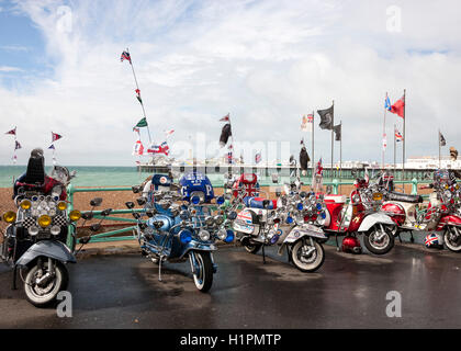 Mod scooters sul display Brighton Seafront Foto Stock