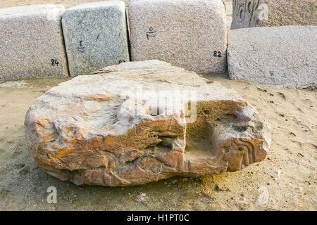 Egitto, Delta del Nilo, Tanis, il tempio di Mut e Khonsu, precedentemente chiamato tempio di anta : affondato rilievo, probabilmente riutilizzata. Foto Stock