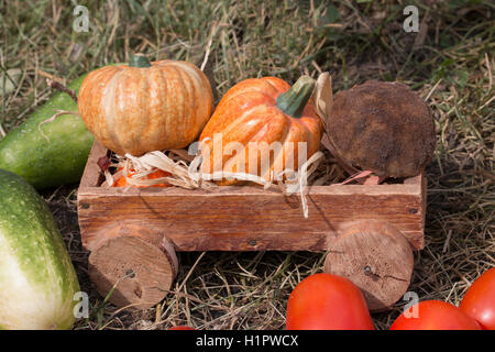 Fresche verdure raccolto consiste in un carrello di legno Foto Stock