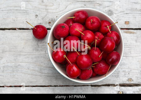 Mature crabapples rosso su una tavola di legno tavolo da picnic. Foto Stock