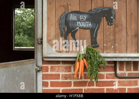 Avviso su una porta stabile con un mazzetto di carote. Nulla per bocca scritto su una scheda di gesso di un cavallo stabile Foto Stock