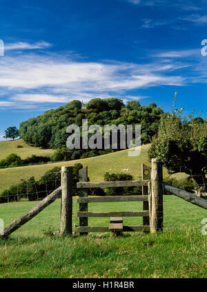 Modo Clwydian National Trail sul versante orientale della Valle di Clwyd con la Madonna Addolorata cappella rupestre, Tremeirchion, sulla cima di una collina nella parte posteriore. Foto Stock