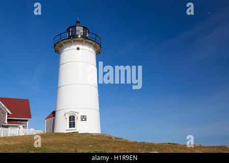 Nobska luce, noto anche come punto di Nobska luce è un faro situato nei boschi foro sulla punta sudoccidentale di Cape Cod, Massac Foto Stock