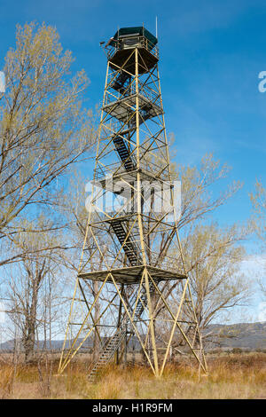 La rivelazione incendio torre di avvistamento surruonded da deciuous alberi in Spagna. In verticale Foto Stock