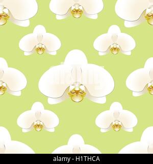 Fiori di orchidea bianchi su uno sfondo di pistacchio-colorato modello senza giunture Illustrazione Vettoriale