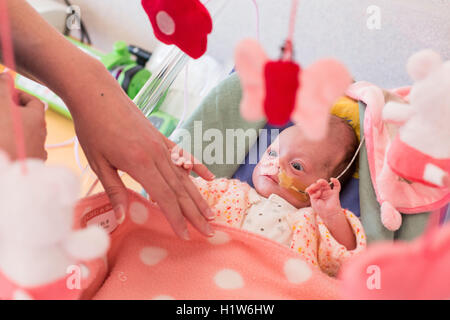 Alimentazione enterale prematuro neonato con tubo-alimentazione, reparto di neonatologia, CHU Bordeaux. Foto Stock