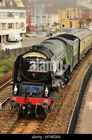 Torbay Express treno a vapore, trainati da nuova costruzione Classe A1 Pacific n. 60163 'Tornado' passando attraverso Dawlish. Foto Stock