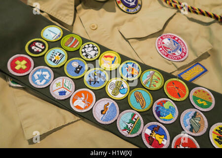 Badge di merito anta, Boy Scouts of America, STATI UNITI D'AMERICA Foto Stock