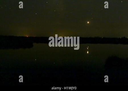 Assateague Island, Berlin Maryland USA Foto Stock